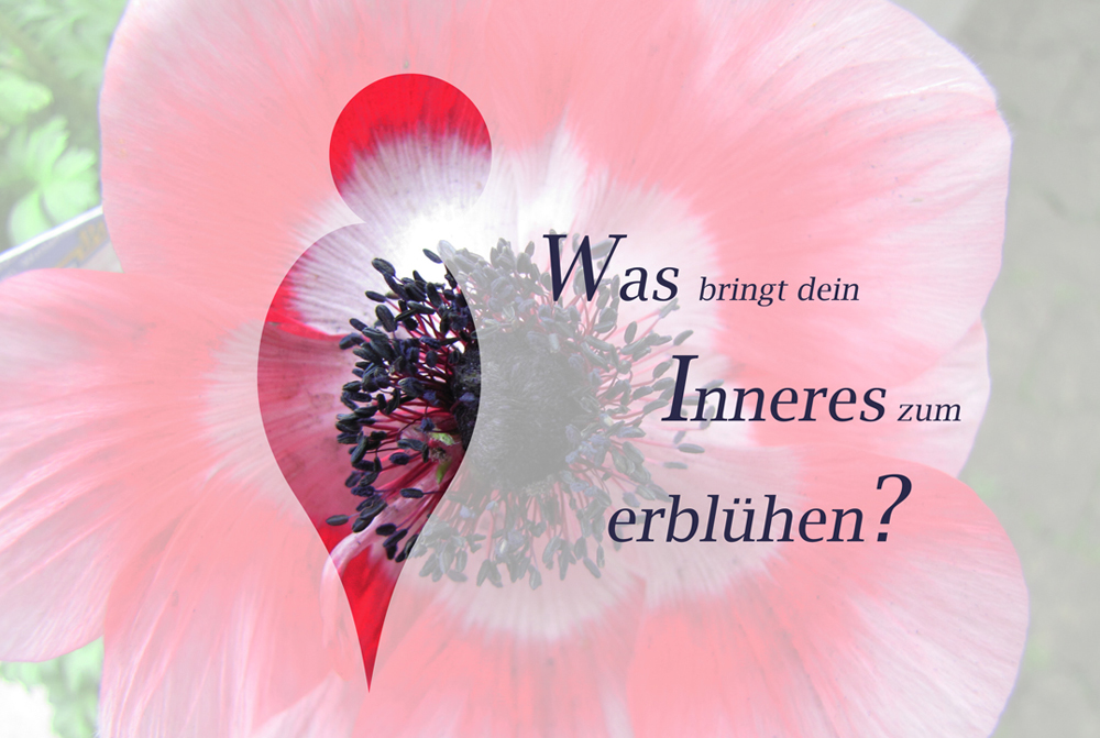 inspiratiografie foto 6
